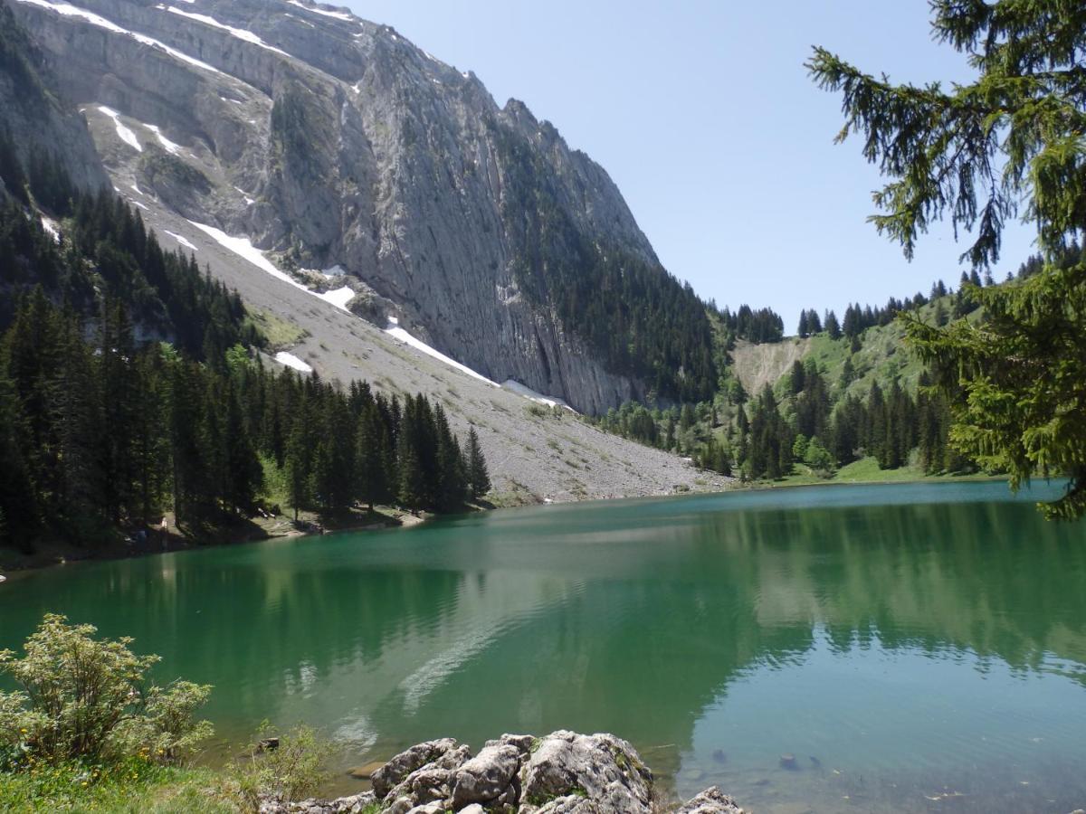 Marignier Au Coeur Des Alpes Bed & Breakfast エクステリア 写真